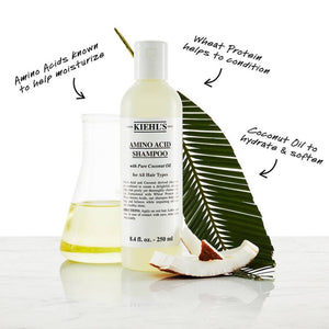 Kiehls Amino Acid Shampoo - 65ml| Cheeks Pakistan