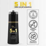 The Hair Factory 5 In 1 Hair Color Shampoo - Black