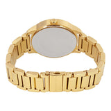 MICHAEL KORS MK 6209 Ladies Watch
