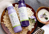 Biolage Color Care Shampoo & Conditioner Set - Coconut Milk & Meadowfoam| Cheeks Pakistan